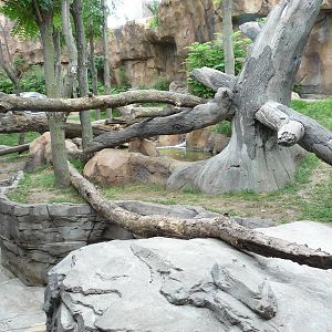 Omaha's Henry Doorly Zoo - Gorilla Exhibit