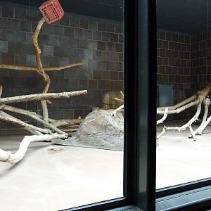 Omaha's Henry Doorly Zoo - Mountain Lion Exhibit