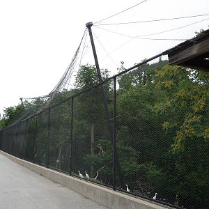 Omaha's Henry Doorly Zoo - 4-acre Aviary