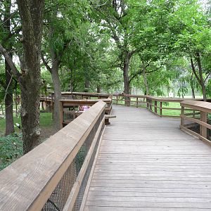 Omaha's Henry Doorly Zoo - 4-acre Aviary