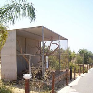 Paphos bird park