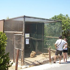 Paphos bird park