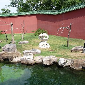 Memphis Zoo - White-cheeked Gibbon Exhibit