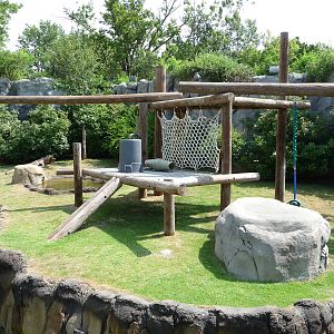 Memphis Zoo - Giant Panda Exhibit
