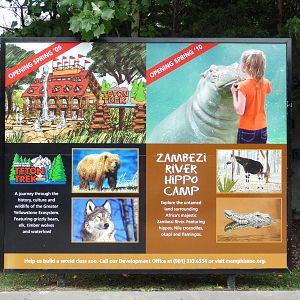 Memphis Zoo - Upcoming Exhibits Billboard