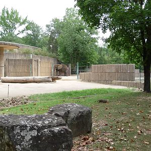 Memphis Zoo - African Elephant Paddock