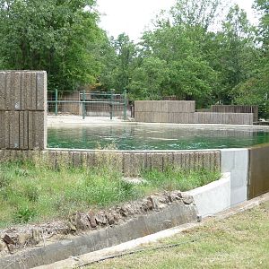 Memphis Zoo - African Elephant Pool