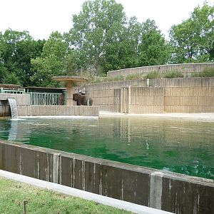 Memphis Zoo - African Elephant Pool