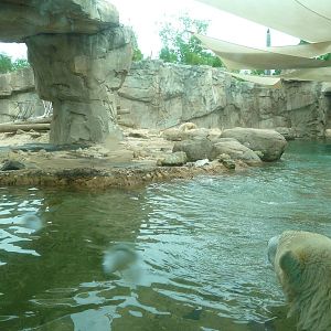 Memphis Zoo - Northwest Passage