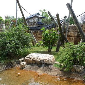 Memphis Zoo -  Colobus Monkey Exhibit