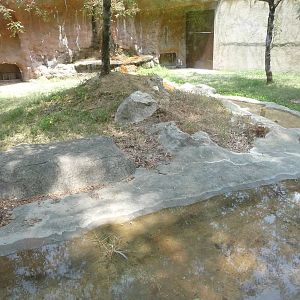Memphis Zoo -  Komodo Dragon Exhibit