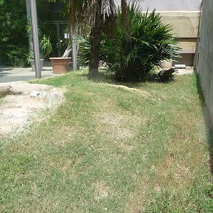 Memphis Zoo -  Komodo Dragon Exhibit