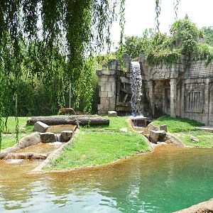 Memphis Zoo -  Bengal Tiger Exhibit