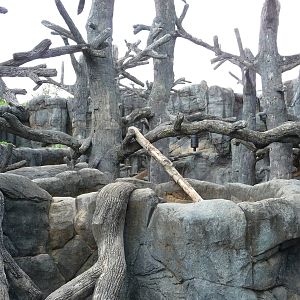 Knoxville Zoo - Black Bear Exhibit