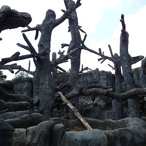 Knoxville Zoo - Black Bear Exhibit