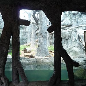 Knoxville Zoo - Black Bear Exhibit