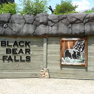 Knoxville Zoo - Black Bear Exhibit