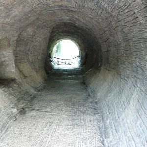 Knoxville Zoo - Black Bear Exhibit