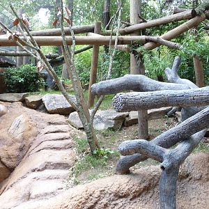 Knoxville Zoo - Red Panda Village
