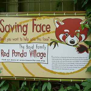 Knoxville Zoo - Red Panda Village