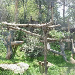 Knoxville Zoo - Red Panda Village