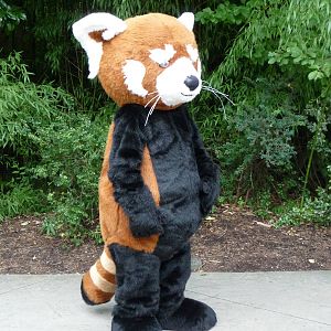 Knoxville Zoo - Red Panda Village