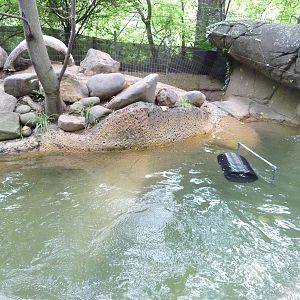 Knoxville Zoo - River Otter Exhibit