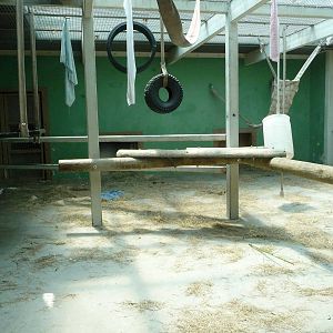 Knoxville Zoo - Chimpanzee Indoor Exhibit