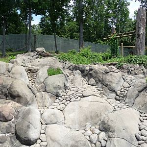 Knoxville Zoo - Chimpanzee Outdoor Exhibit