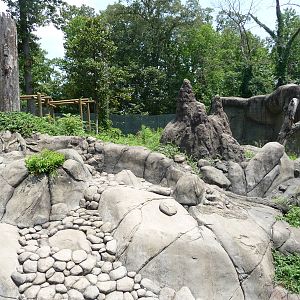 Knoxville Zoo - Chimpanzee Outdoor Exhibit