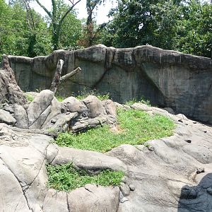 Knoxville Zoo - Chimpanzee Outdoor Exhibit
