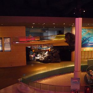 Georgia Aquarium - Main Meeting Area