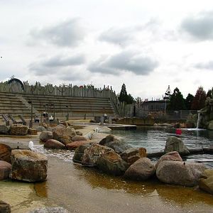 Walrus Exhibit