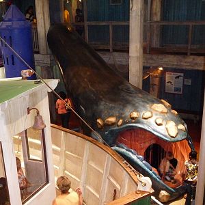 Georgia Aquarium - Sperm Whale Slide