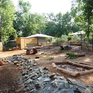 Zoo Atlanta - Warthog Exhibit