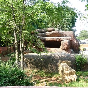 Zoo Atlanta - Lion Exhibit