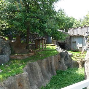 Zoo Atlanta - Giant Panda Exhibit