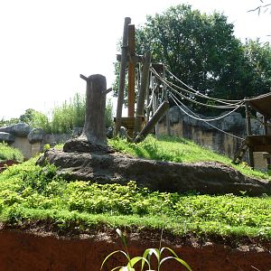 Zoo Atlanta - Orangutan Exhibit