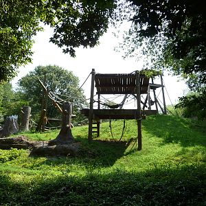 Zoo Atlanta - Orangutan Exhibit