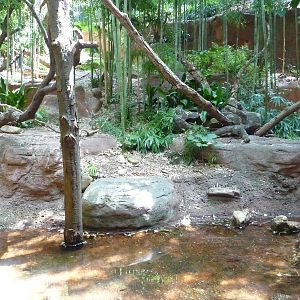 Zoo Atlanta - Clouded Leopard Exhibit