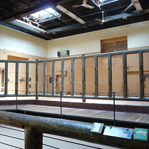 Zoo Atlanta - African Elephant Indoor House