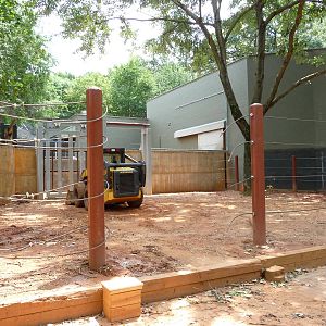 Zoo Atlanta - African Elephant Exhibit