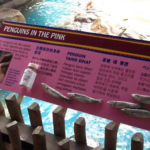 Penguin Coast - Signage