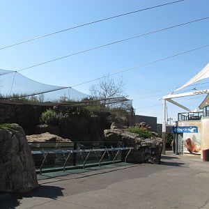 New York Aquarium 2010 - Front of Pacific Walrus exhibit