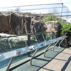 New York Aquarium 2010 - Front of Seal and Sea Lion exhibit