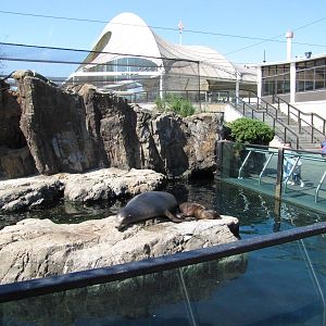 New York Aquarium 2010 - Side view of Front of Seal and Sea Lion exhibit