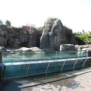 New York Aquarium 2010 - Front of Sea Otter exhibit