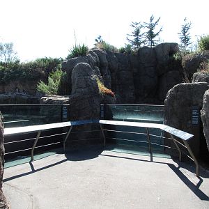 New York Aquarium 2010 - Front of Jackass Penguin and Sea Otter exhibits