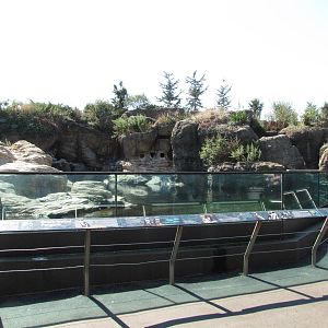 New York Aquarium 2010 - Front of Jackass Penguin exhibit