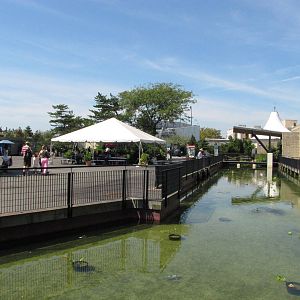 New York Aquarium 2010 - General view in the Aquarium area